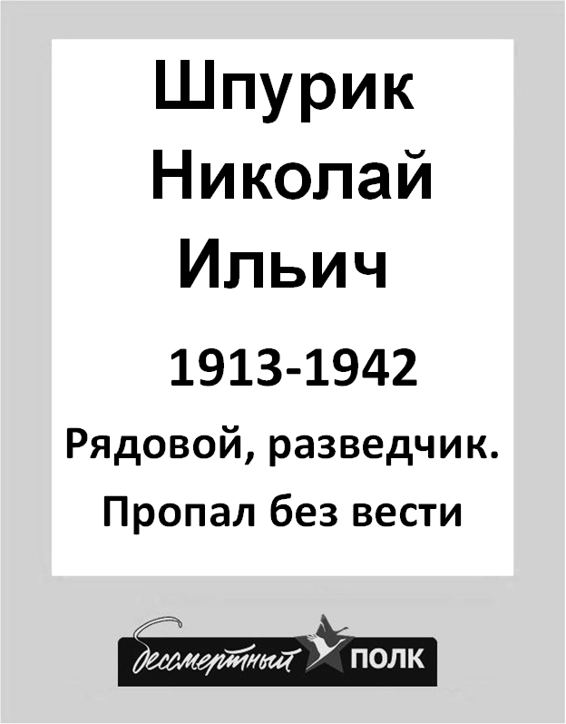 Шпурик Николай Ильич 